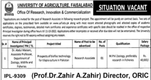 University of Agriculture Faisalabad